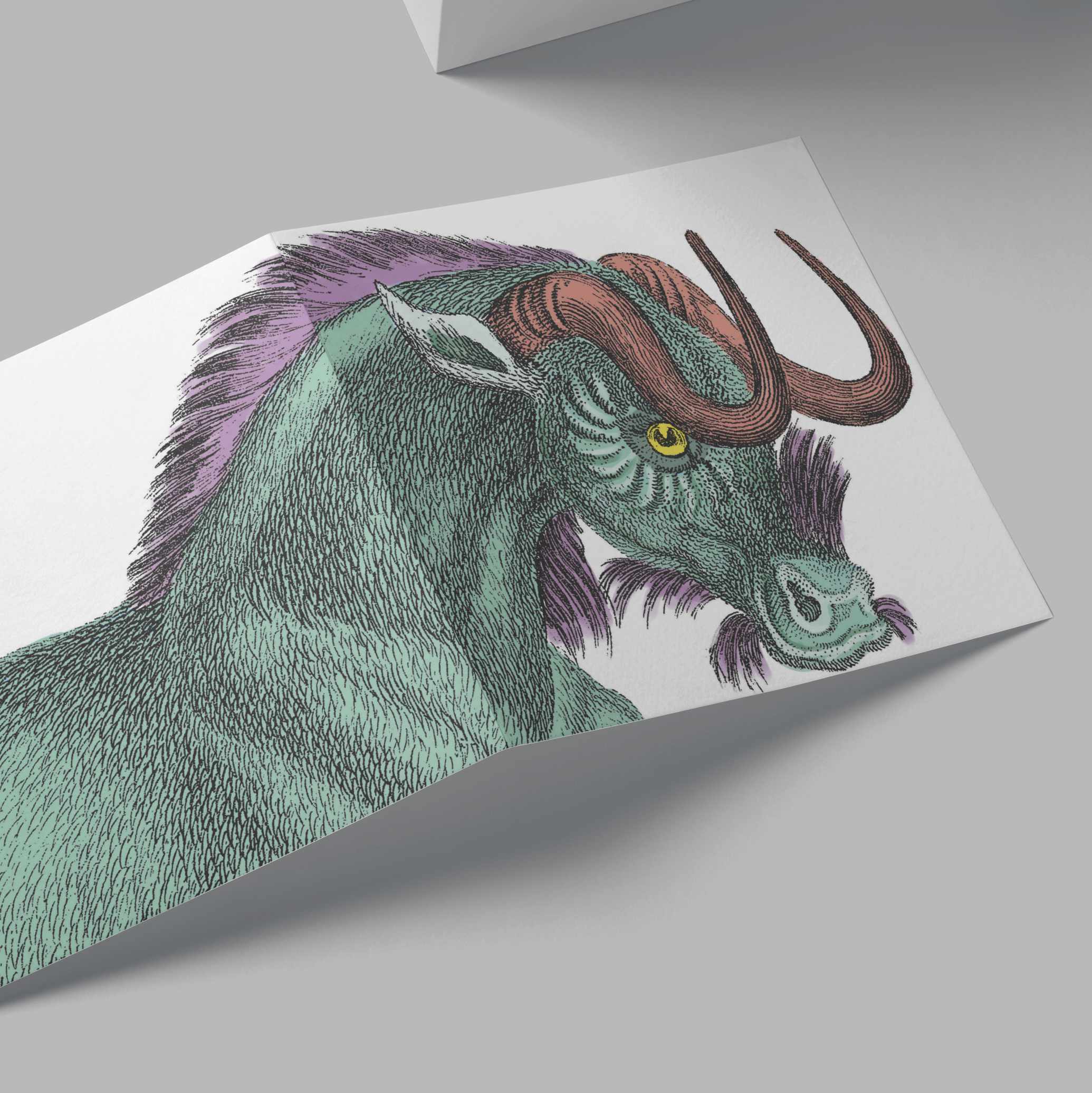 Wildebeest Card